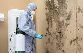 Best Forensic Mold Investigation  in USA